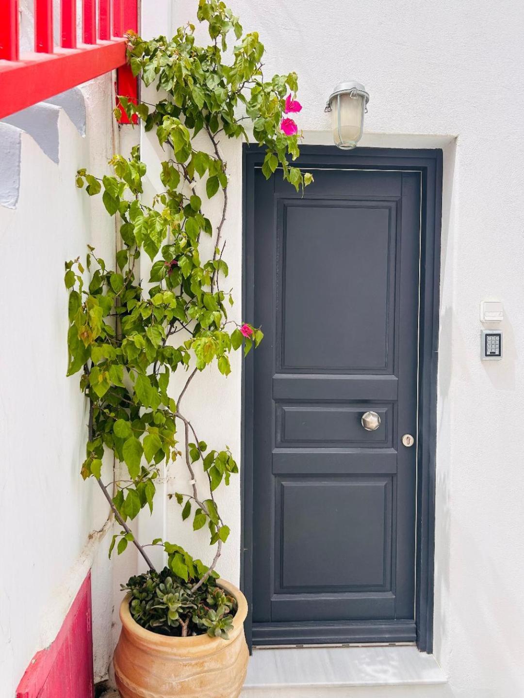 Levandamykonos Mykonos Town Exteriér fotografie